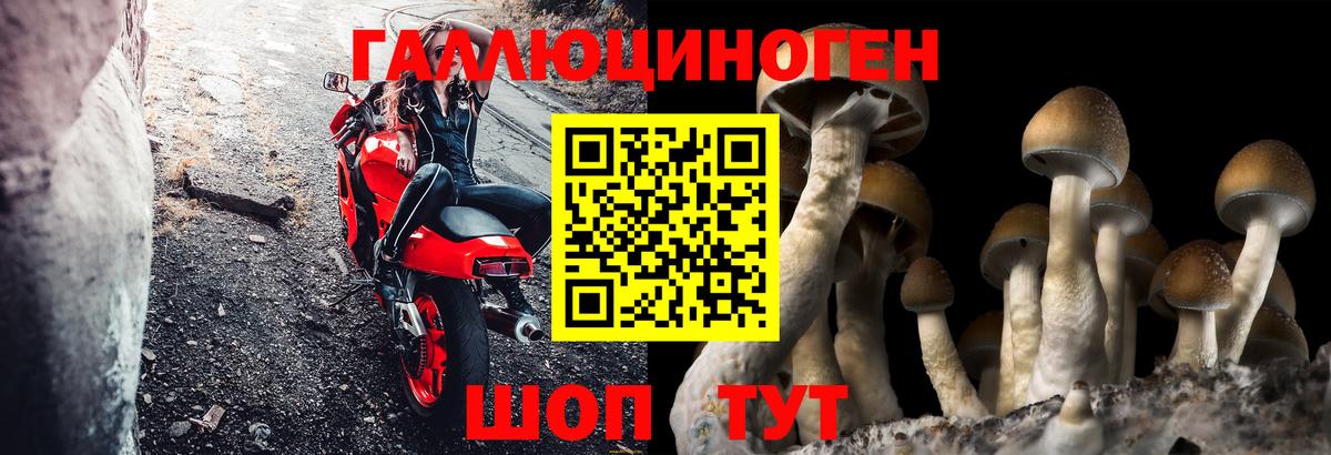 Галлюциногенные грибы Psilocybine cubensis  Вход с VPN  цены наркотик  Лениногорск  Галлюциногенные грибы мицелий 